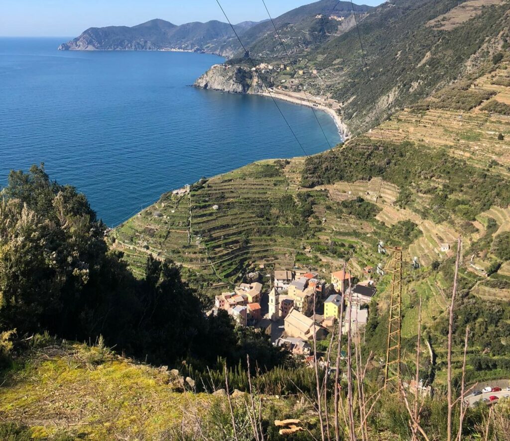 Cinque Terre, salvare il mondo si può anche restaurando i muretti a secco