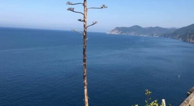 AVVISO ALLA CITTADINANZA – Variazione orario di ingresso al sito naturalistico di Torre Guardiola.