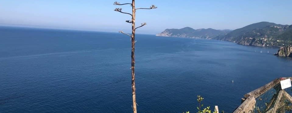 AVVISO ALLA CITTADINANZA – Variazione orario di ingresso al sito naturalistico di Torre Guardiola.